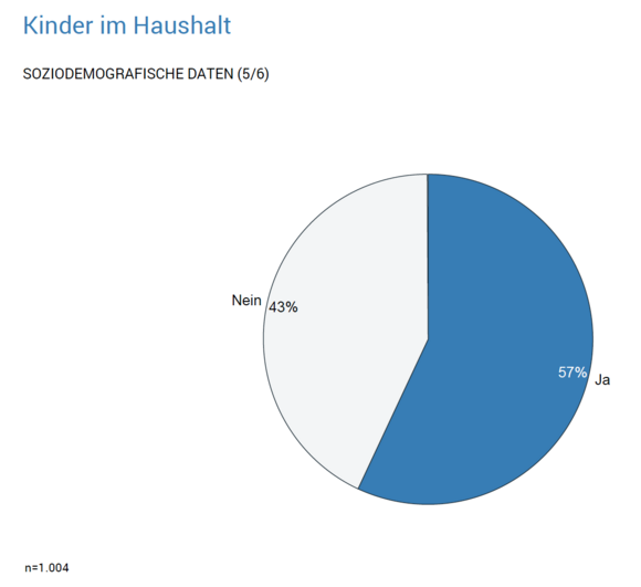 Kinder im Haushalt Avantgarde Experts Studien