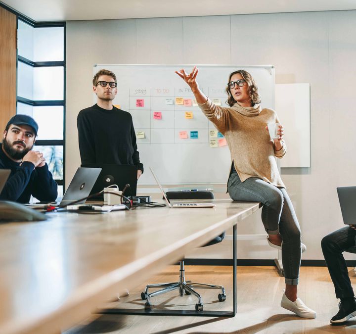  IT-Projektleiterin mit Team