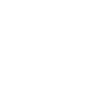 Puma logo