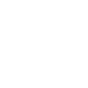 Bosch logo