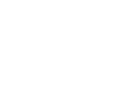 BMW Group Logo